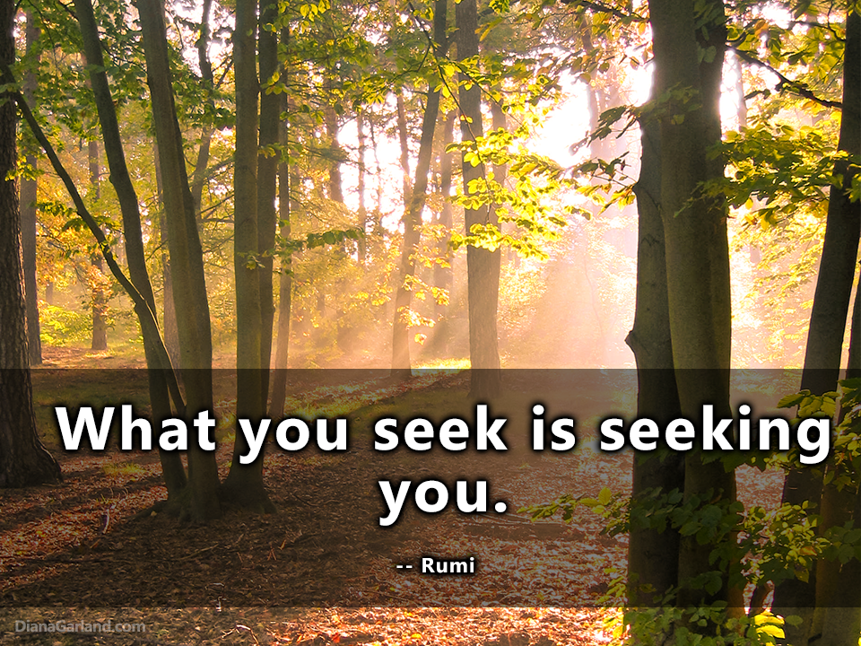 Rumi-seeking