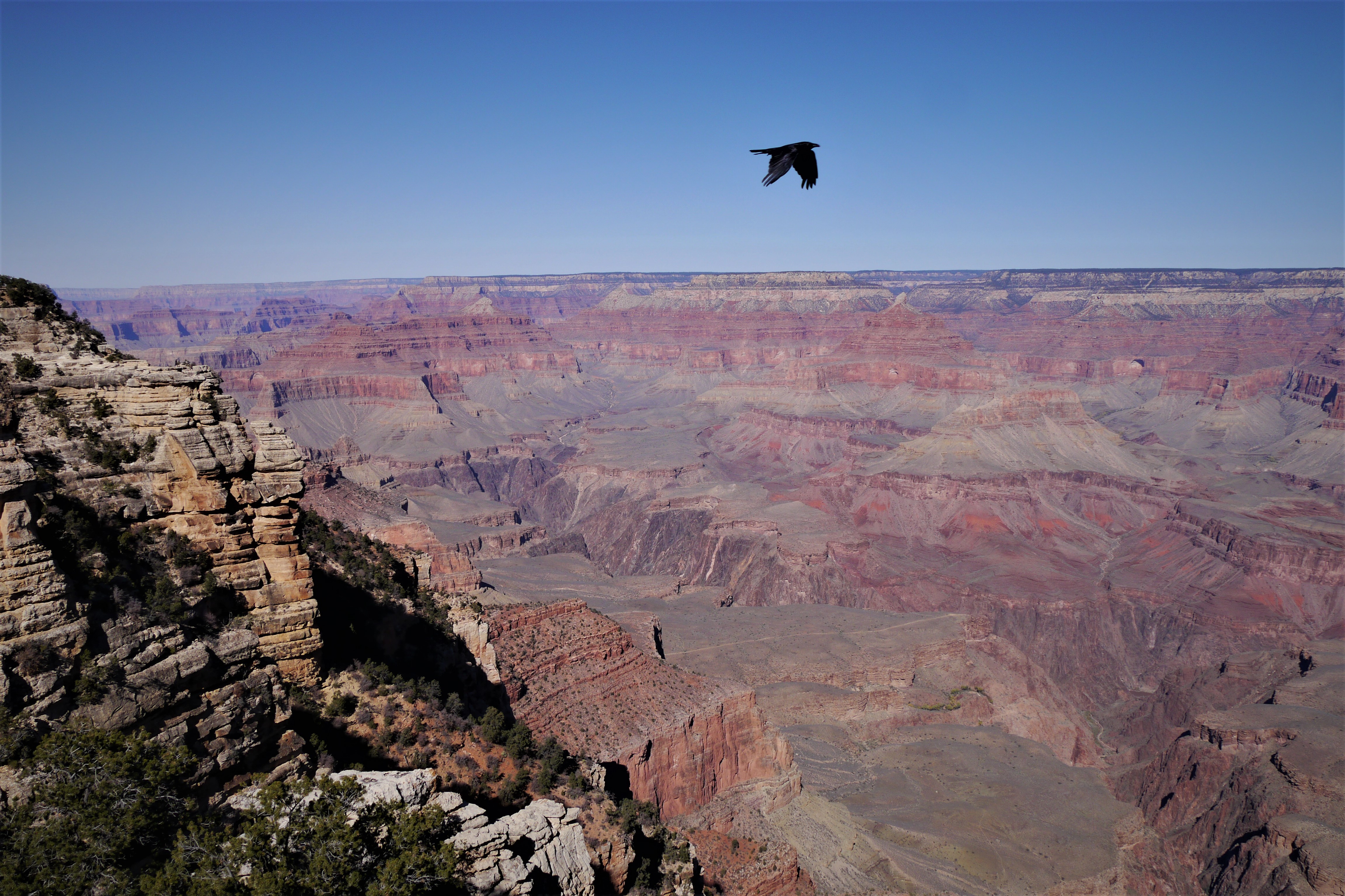 01 First View Grand Canyon