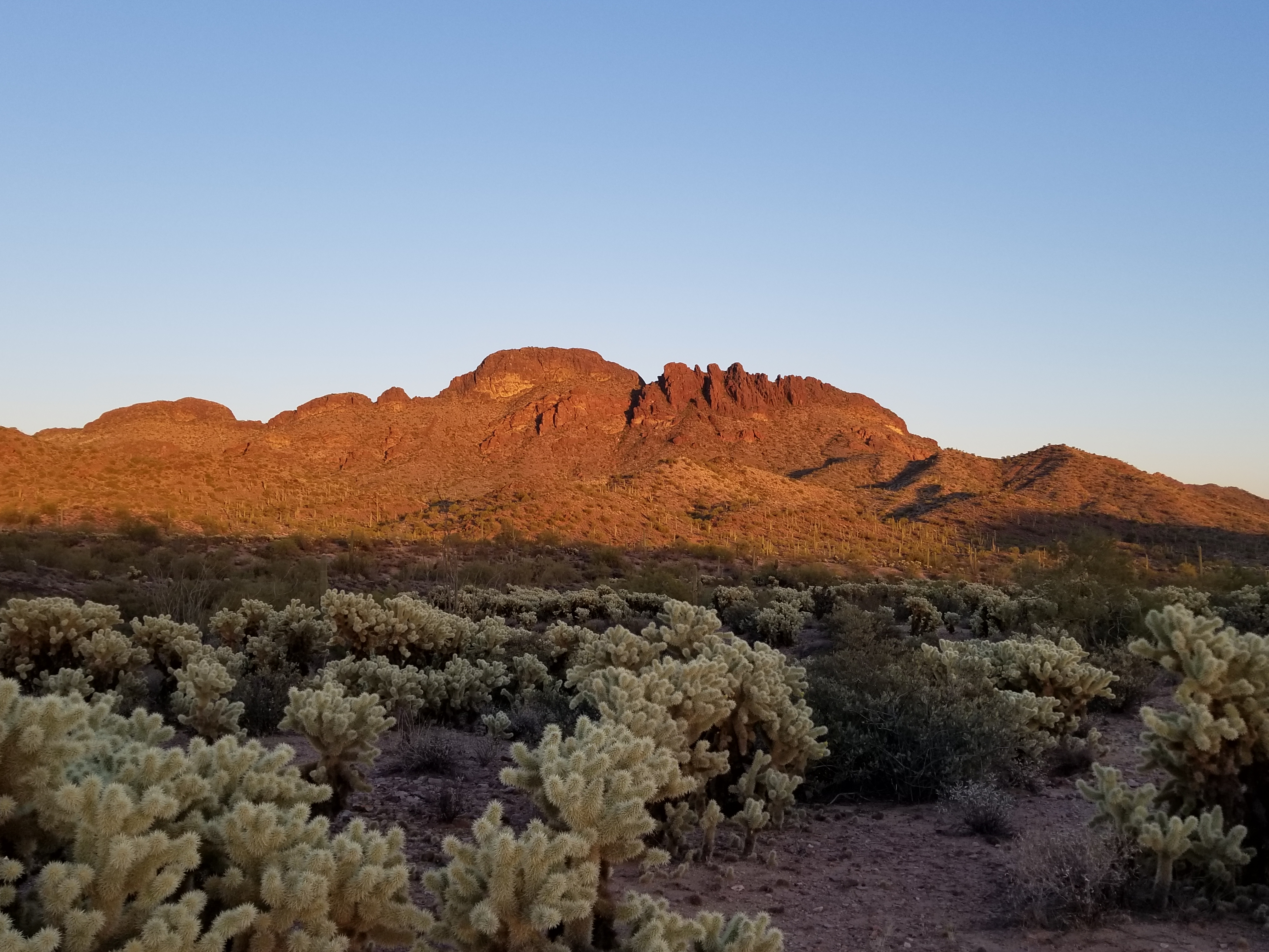 Vulture Mine Peak