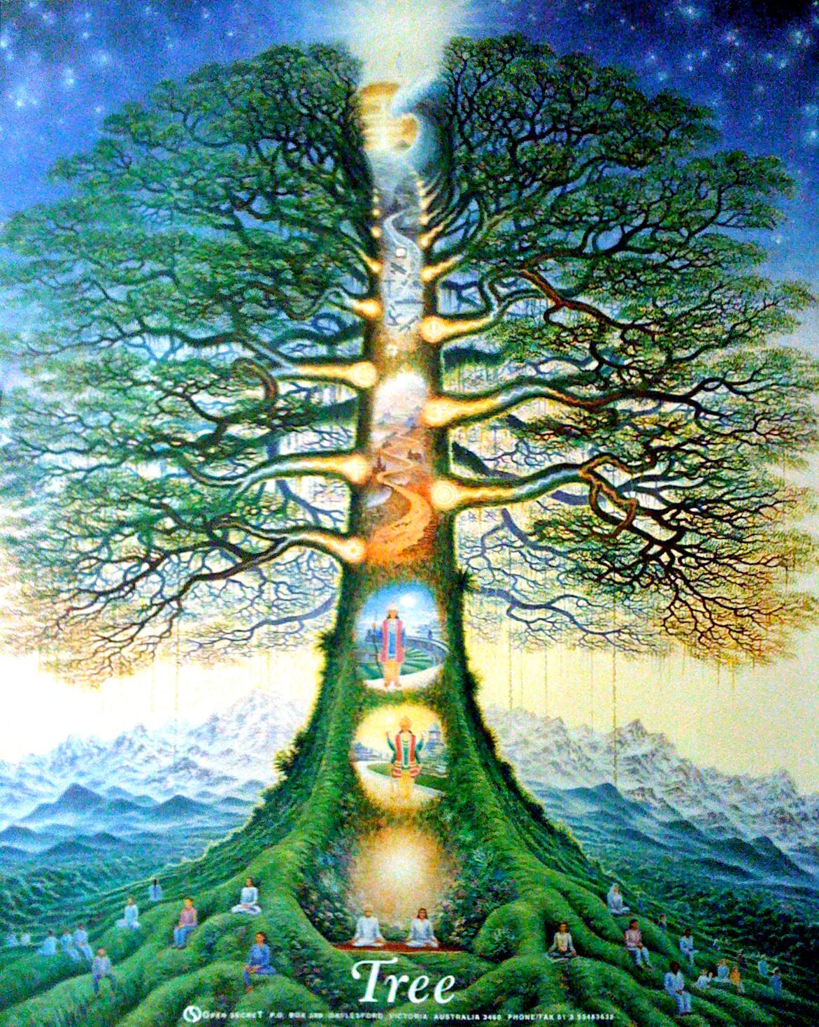 tree_of_life_australia