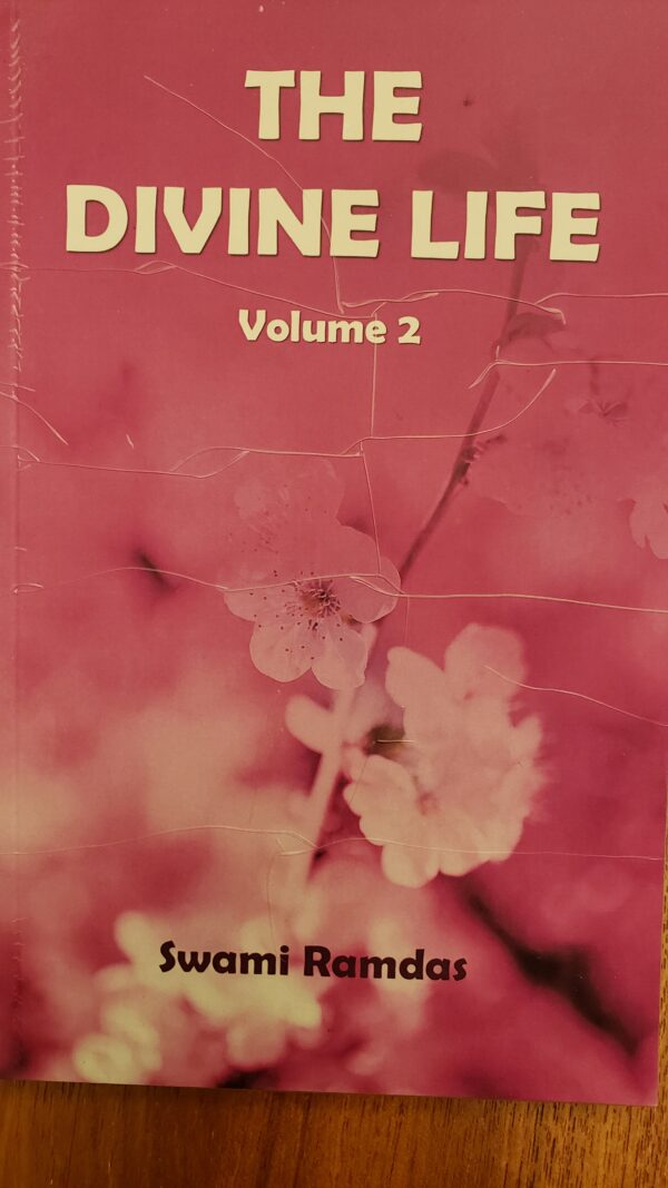 The Divine Life Vol. I & II, 2021 - Image 3